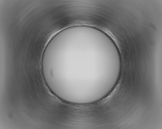 X0000110881089200906180940