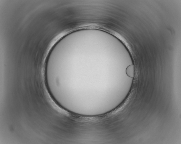 X0000110881090200906180940