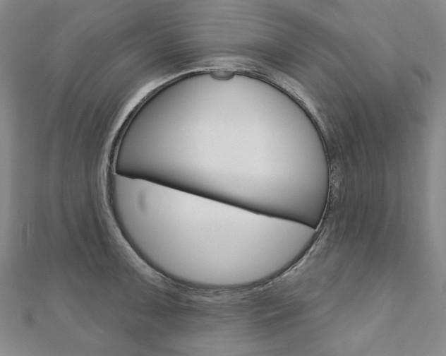 X0000110881091200906180940
