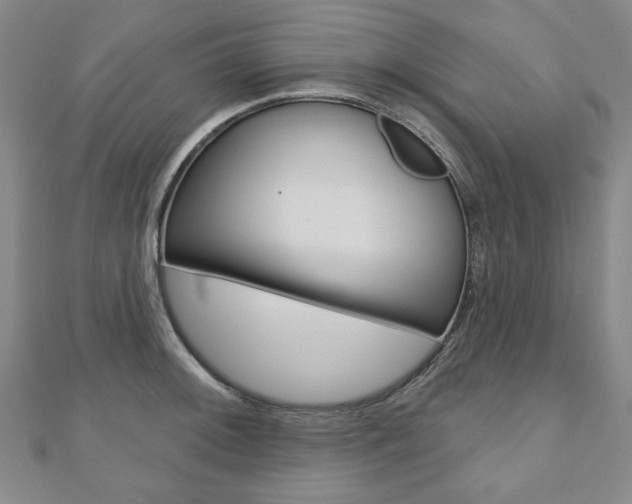X0000110881092200906180940