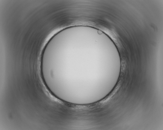 X0000110881094200906180940