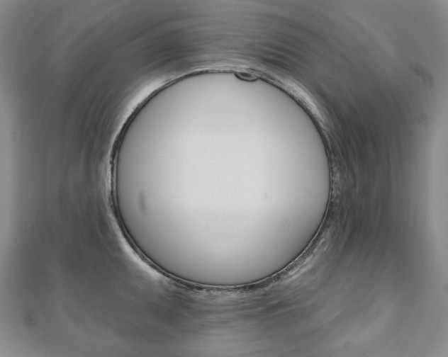 X0000110881095200906180940