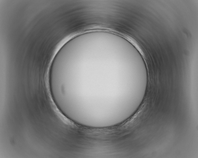 X0000110881098200906180940
