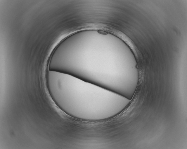 X0000110881099200906180940