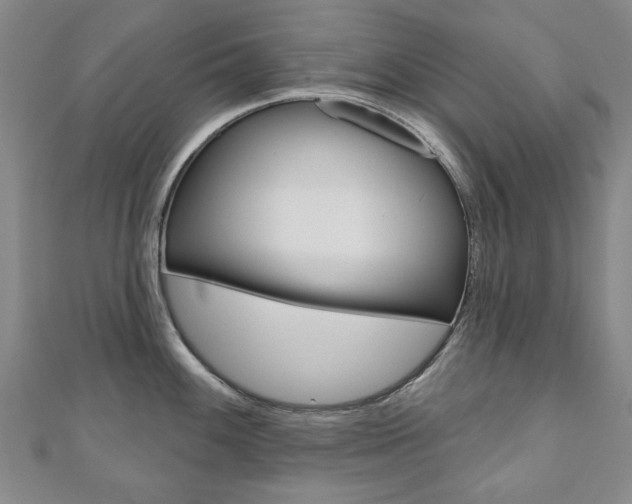 X0000110881100200906180940