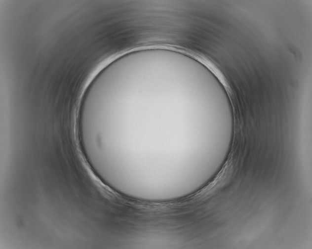 X0000110881101200906180940