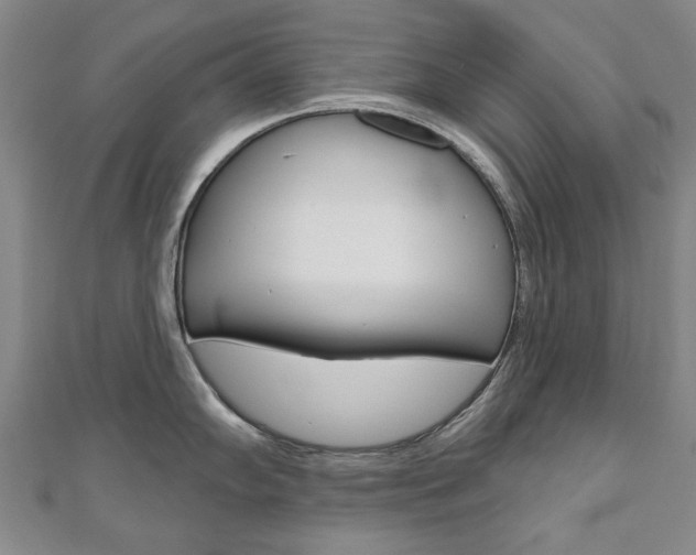 X0000110881102200906180940