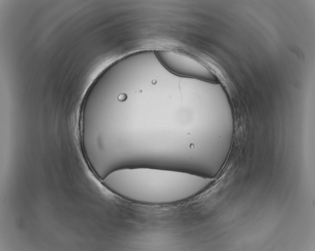 X0000110881103200906180940