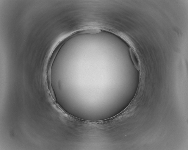 X0000110881104200906180940