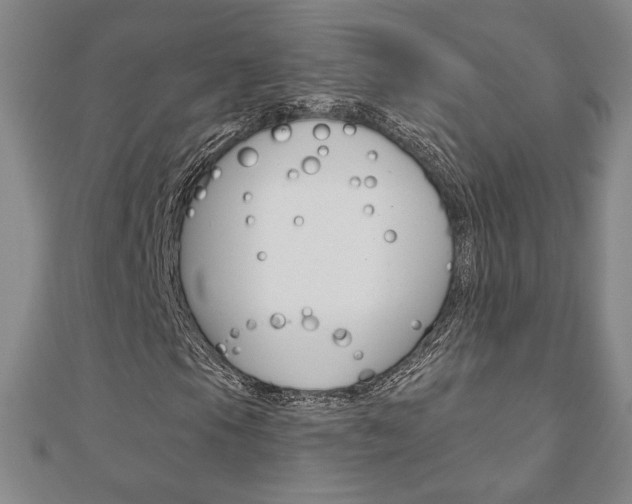 X0000110881105200906180939
