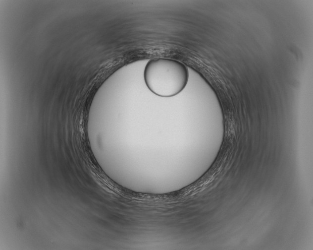 X0000110881106200906180939
