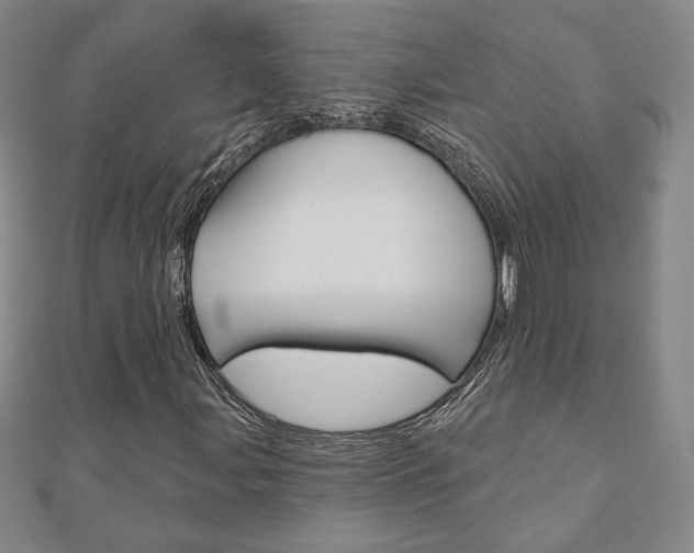 X0000110881107200906180939