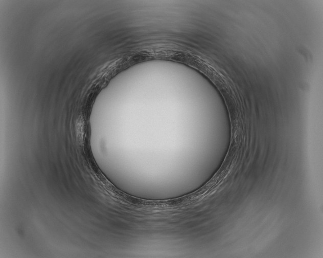 X0000110881108200906180939