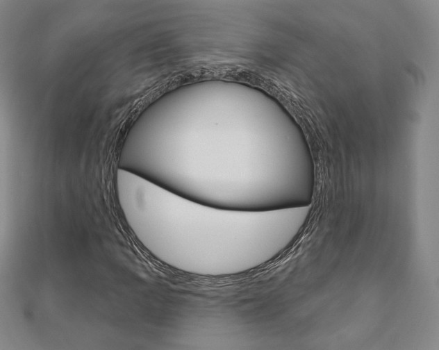 X0000110881109200906180939