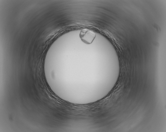 X0000110881110200906180939