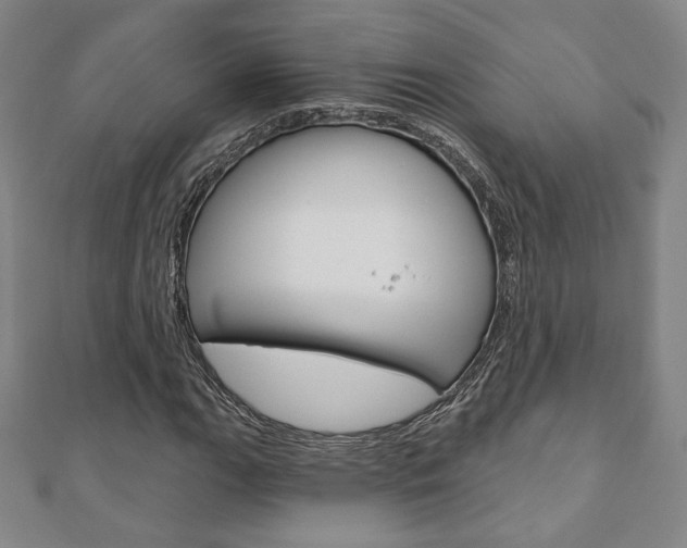 X0000110881111200906180939