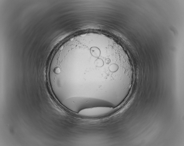 X0000110881113200906180939