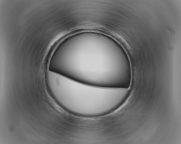 X0000110881114200906180939
