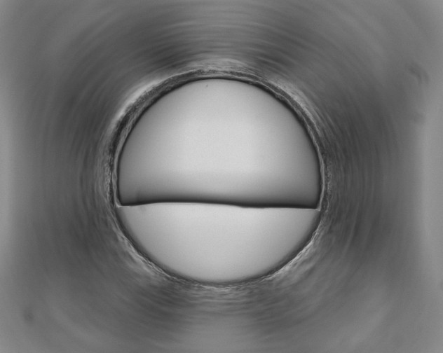 X0000110881115200906180939