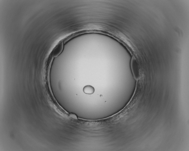 X0000110881116200906180939