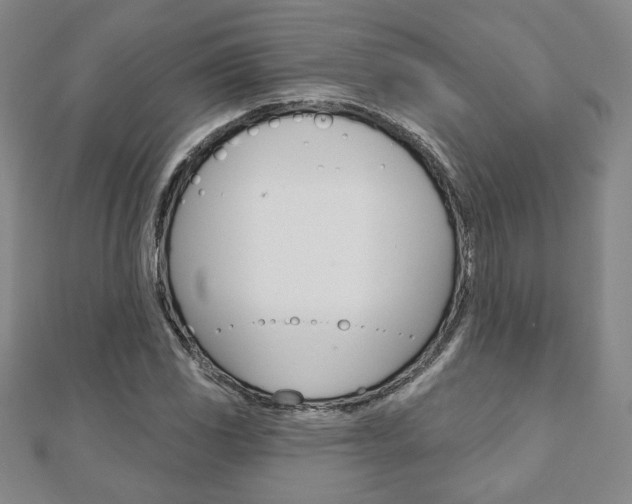 X0000110881117200906180939