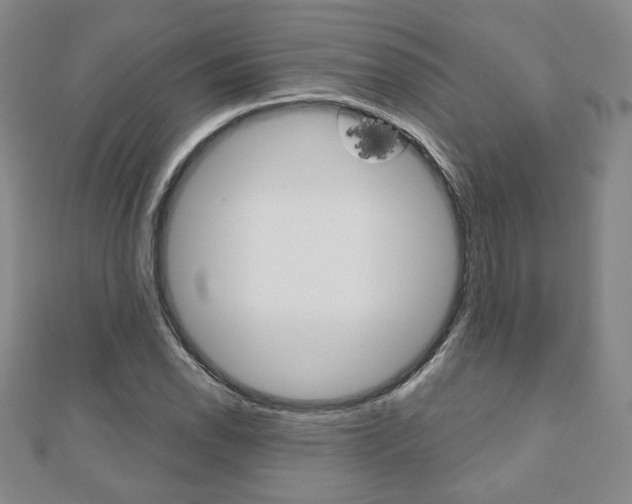 X0000110881118200906180939