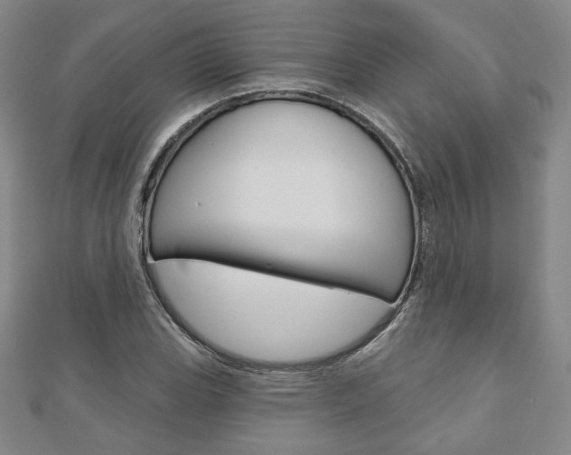 X0000110881119200906180939