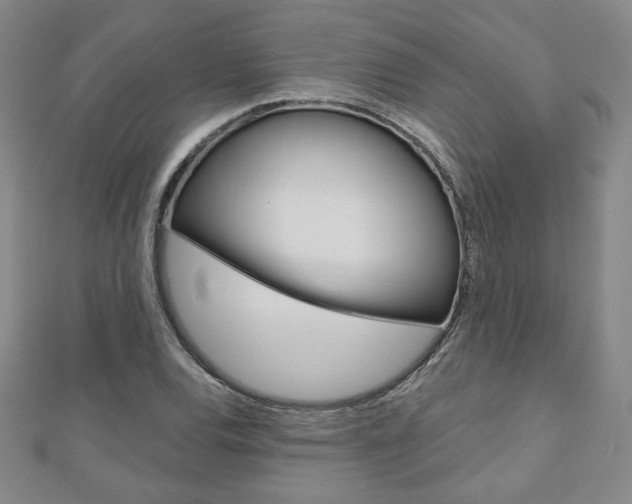 X0000110881120200906180939