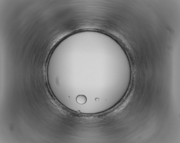 X0000110881121200906180939