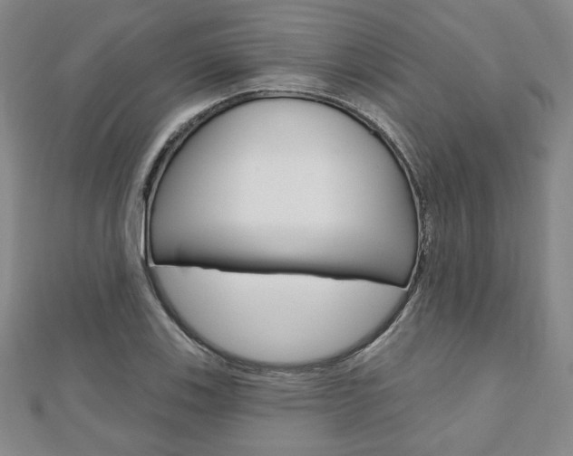 X0000110881123200906180939