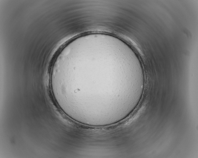 X0000110881125200906180939