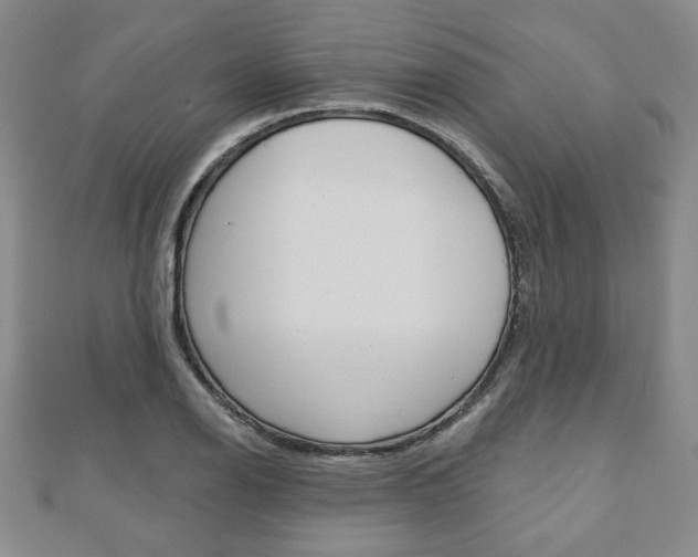 X0000110881126200906180939