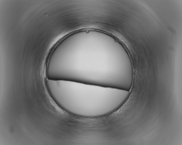 X0000110881127200906180939