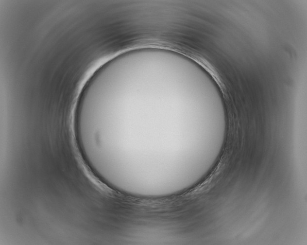 X0000110881128200906180939