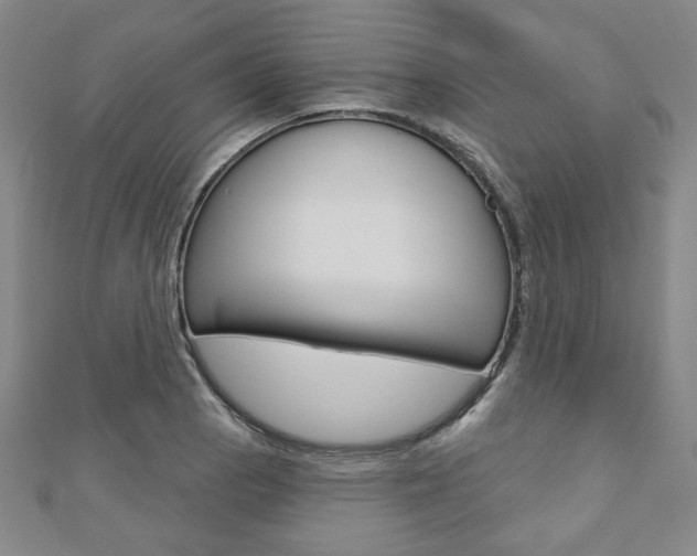 X0000110881129200906180939