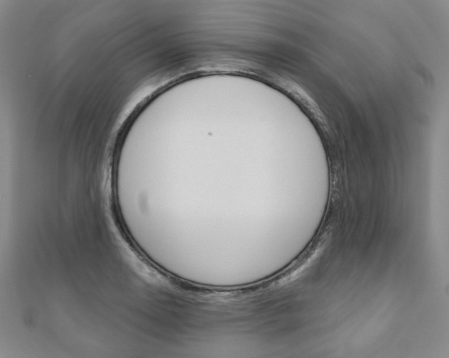 X0000110881130200906180939