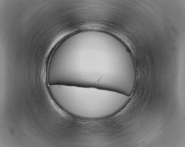X0000110881131200906180939