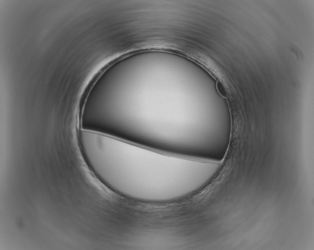 X0000110881132200906180939