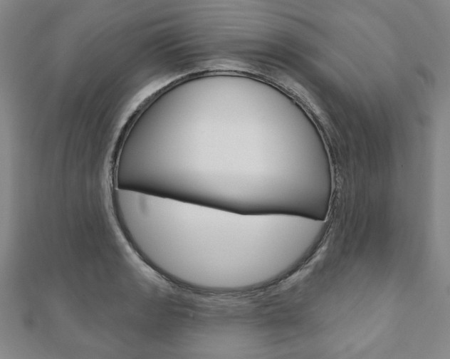 X0000110881133200906180939