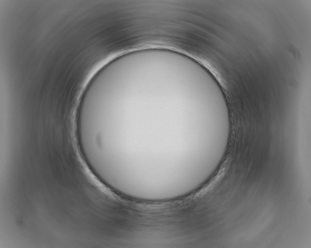 X0000110881134200906180939