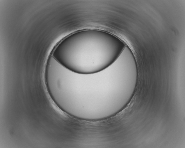 X0000110881136200906180939