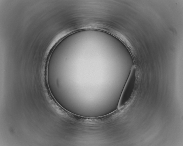 X0000110881138200906180939