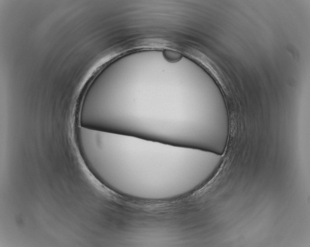 X0000110881139200906180939
