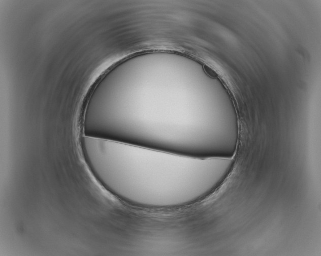 X0000110881141200906180939
