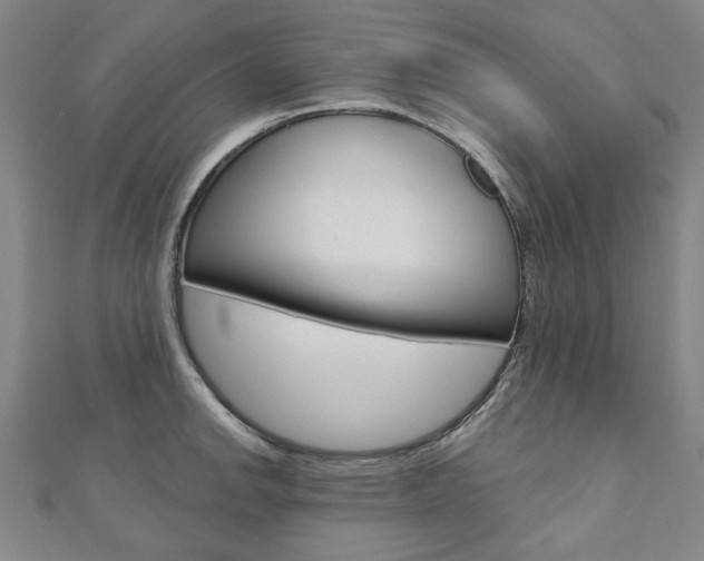 X0000110881142200906180939