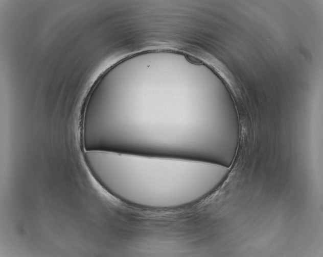 X0000110881143200906180940