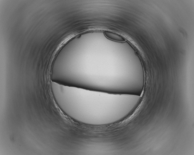 X0000110881145200906180940