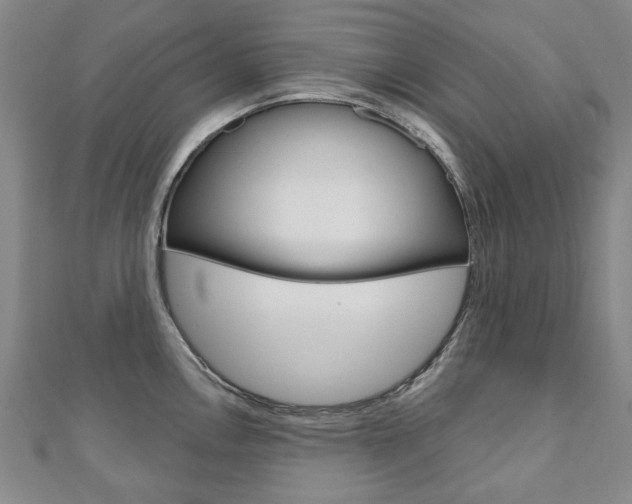 X0000110881146200906180940