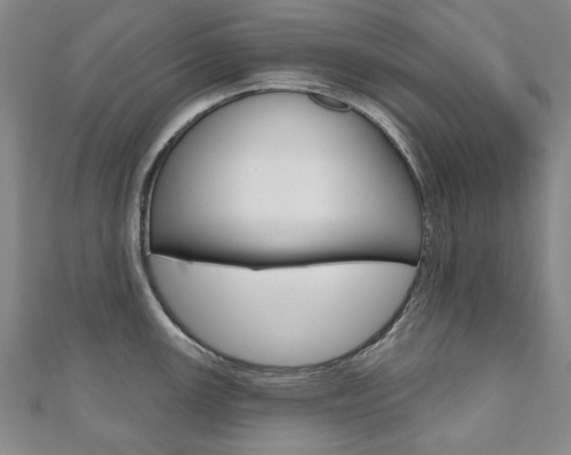 X0000110881147200906180940