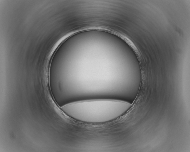 X0000110881148200906180940